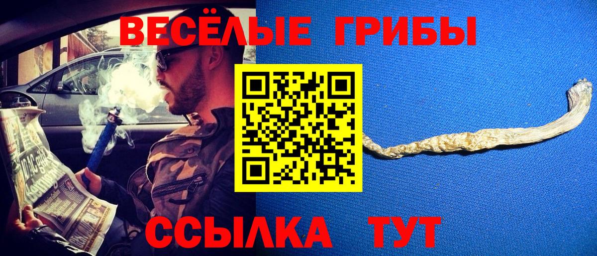 цены   Вход с VPN  Бахчисарай  Псилоцибиновые грибы Psilocybe 